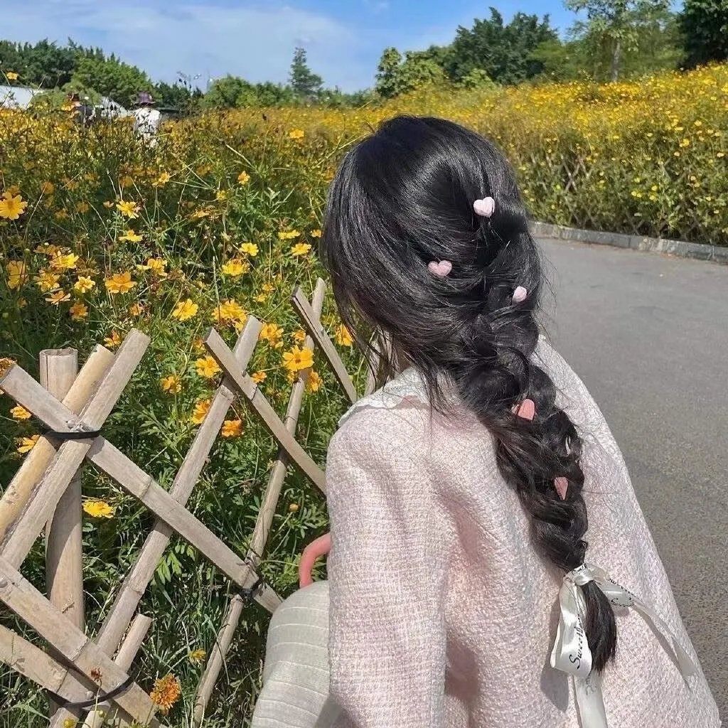 小黄花青草地封面