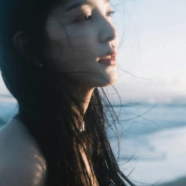 碧血情仇封面